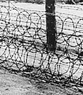 Image of barbed wire