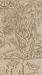 Southern Continent, late 16th century - detail